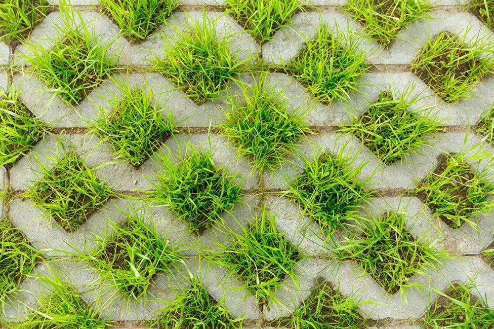 Тротуарная плитка чтобы положить на кладбище 60013