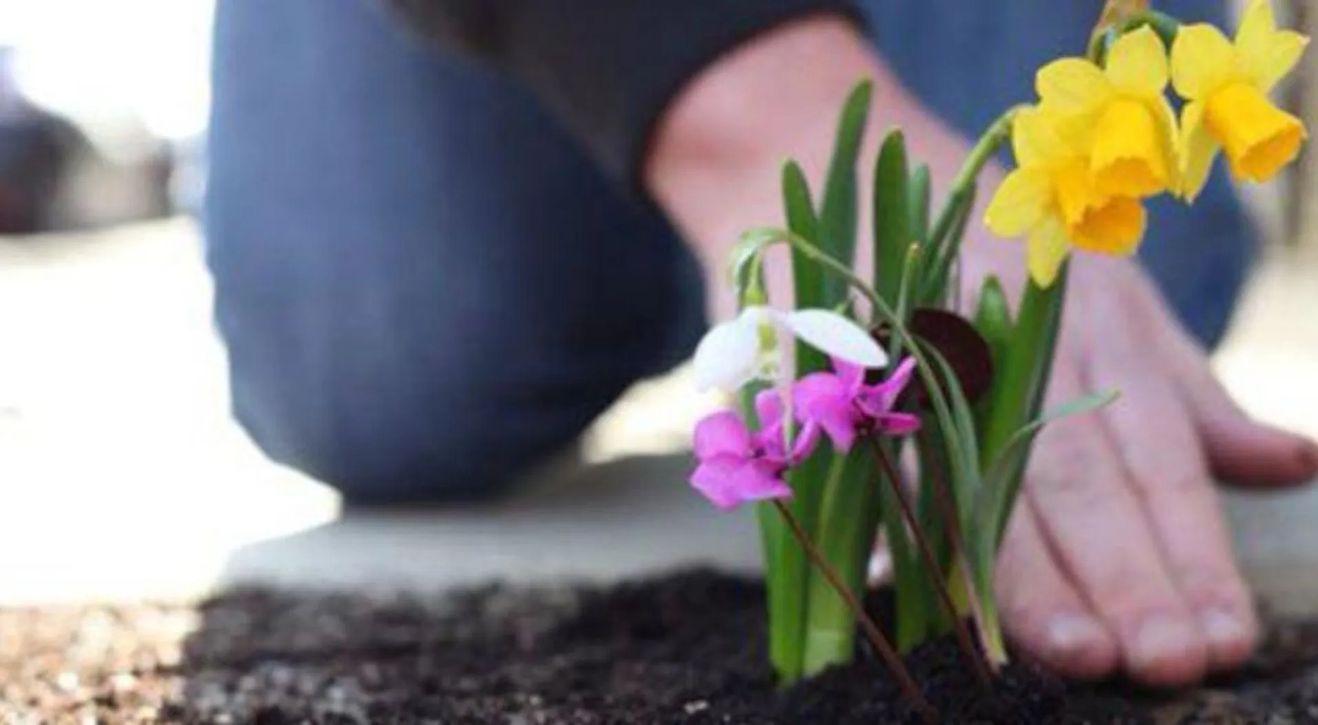 Как ухаживать за могилой