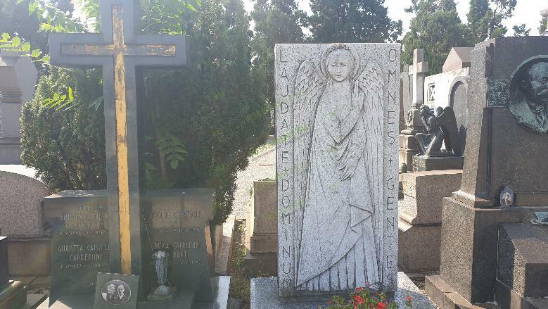 20190810_111321 (1).jpg