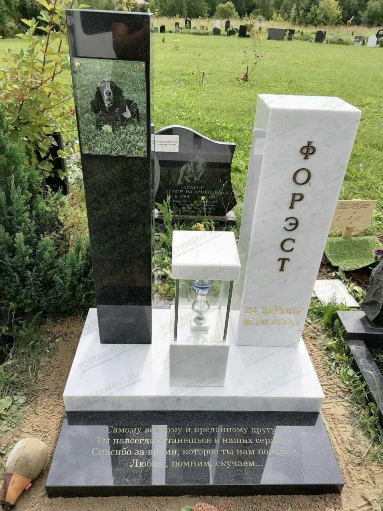 pamyatnik-sobake.jpeg