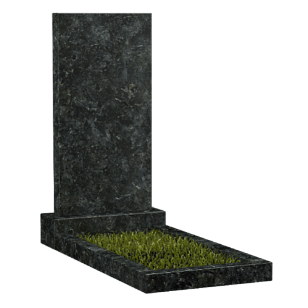 памятник из гранита Сопка Бунтина