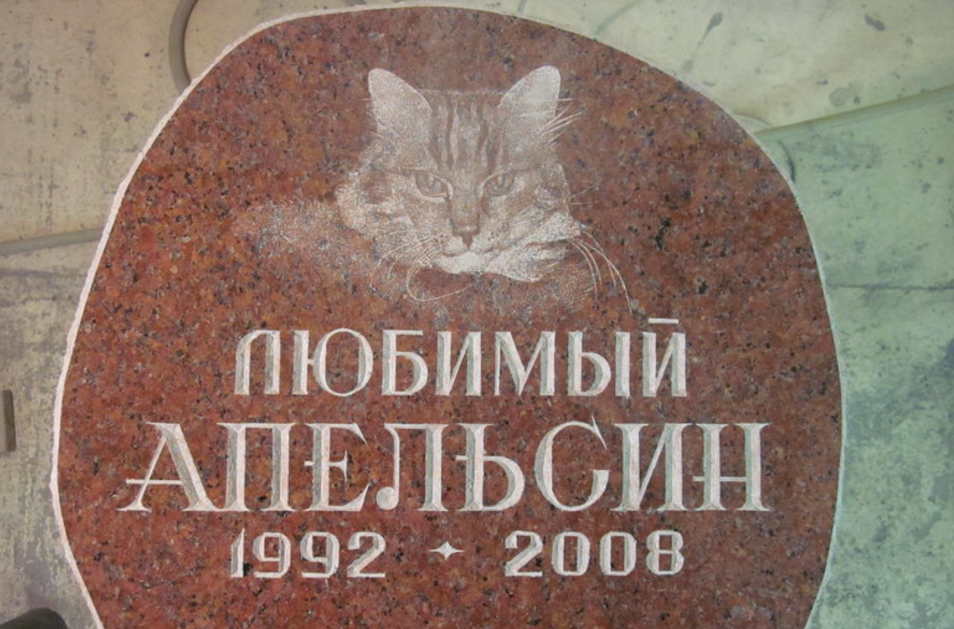 памятник на могилу кошке