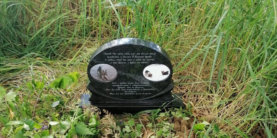 Памятник собачке