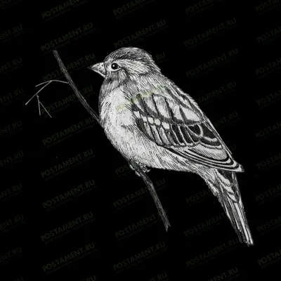 Птичка оформление надгробного памятника 91122