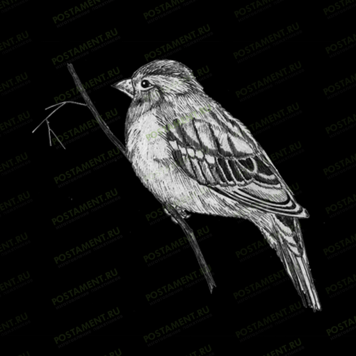 Птичка оформление надгробного памятника 91122