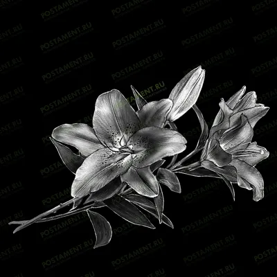 Букет лилий на памятник для нанесения на памятник 91049