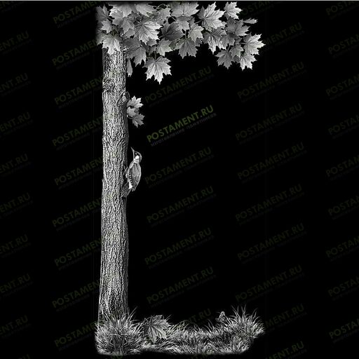 Клен для оформления мужского памятника