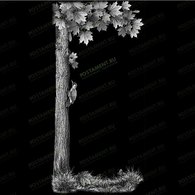 Клен для оформления мужского памятника