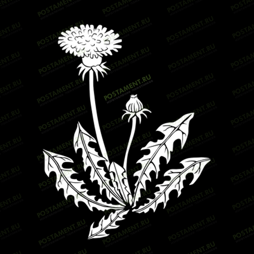 одуванчик на памятник картинка 91068