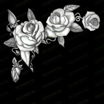 Виньетка с розами 96055