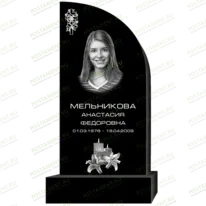 Рисунок 95306