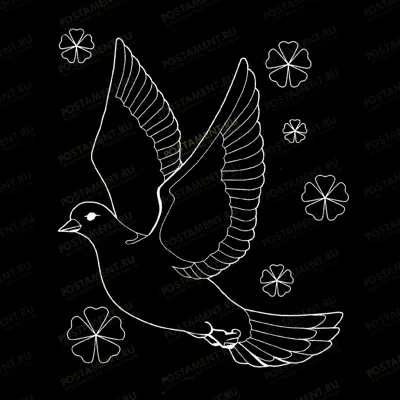 Голубь на памятник рисунок 91124