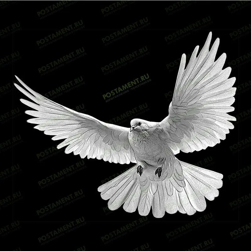 Голубь гравировка на памятнике из гранита 91120