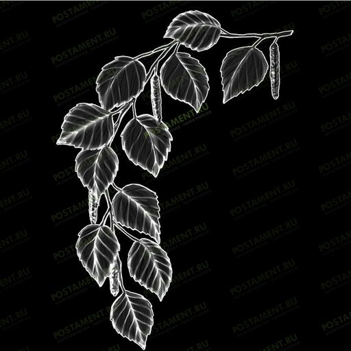 Веточка березы для гравировка на надгробии