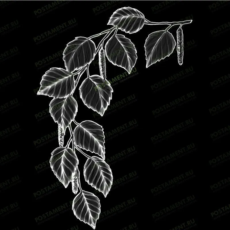 Веточка березы для гравировка на надгробии