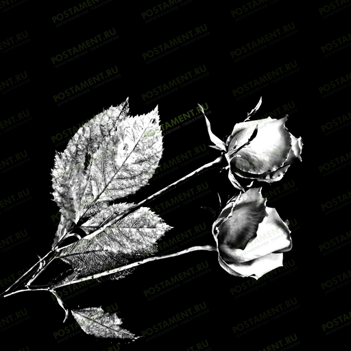 Гравировка роз на камне 91009