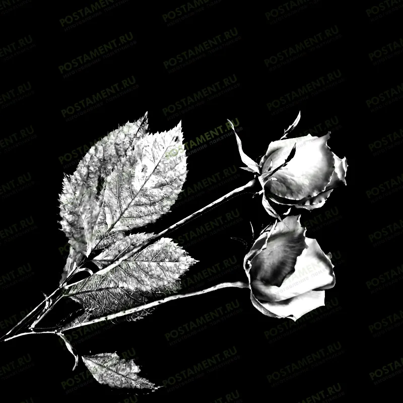 Гравировка роз на камне 91009