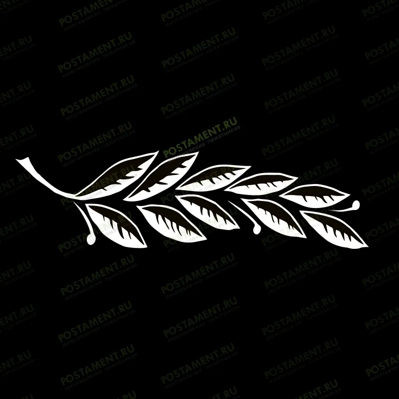 лавровая ветвь на памятник мужчине