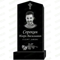 Рисунок 95304