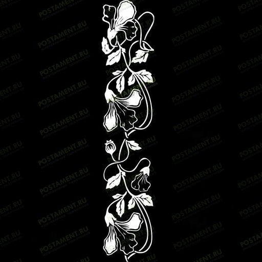 Рисунок вьюнка для оформления памятника