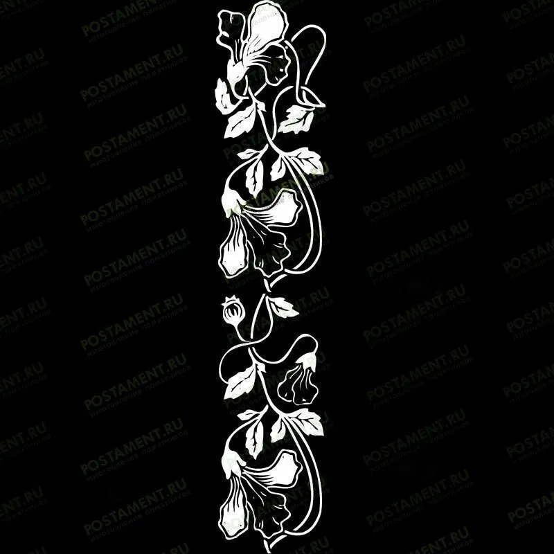 Рисунок вьюнка для оформления памятника