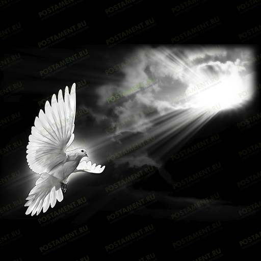 голубь в ореоле - оформление на памятник 