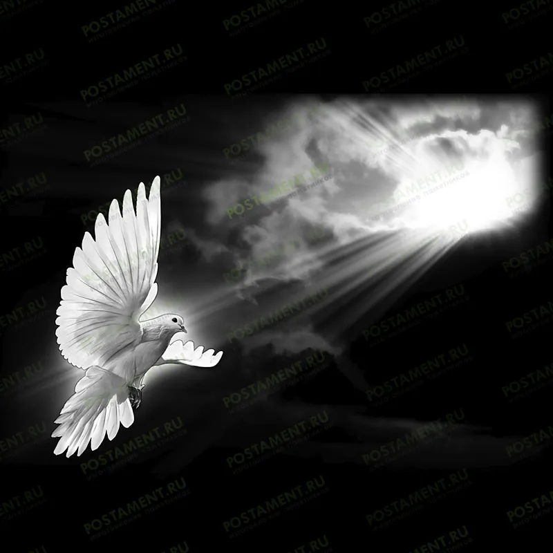 голубь в ореоле - оформление на памятник 