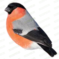 Птица из керамики на памятник 91957