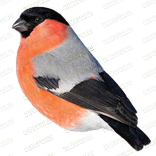 Птица из керамики на памятник 91957