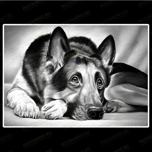 Немецкая овчарка на памятник 91131