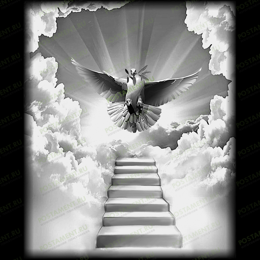 изображение голубя на памятник  91146