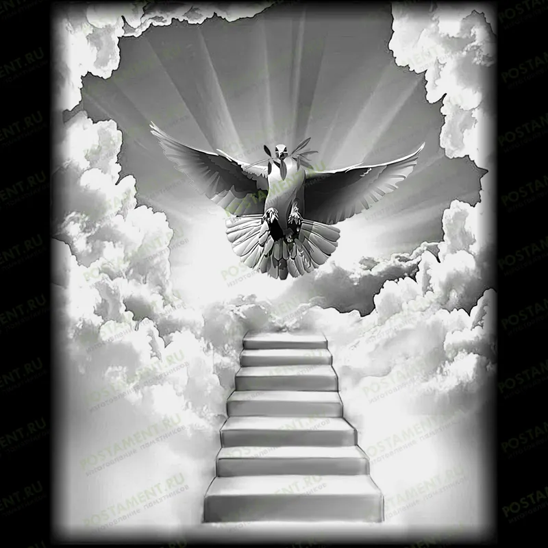 изображение голубя на памятник  91146