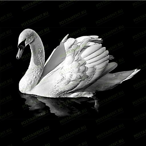 Лебедь гравировка на памятнике из гранита 91119