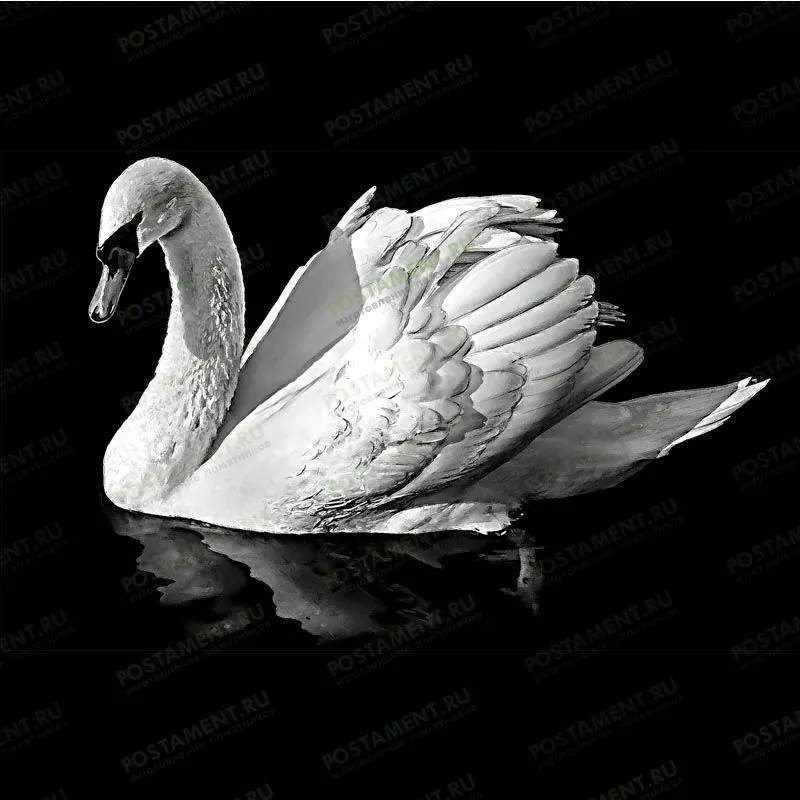 Лебедь гравировка на памятнике из гранита 91119