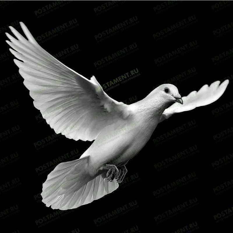 Голубь гравировка на гранитном памятнике 91118