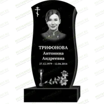 Рисунок 95338