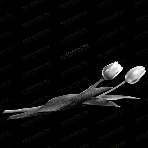 2 тюльпана на гранитный памятник 91027