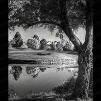 Природа 99026