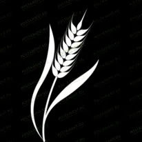 Колосок 95011