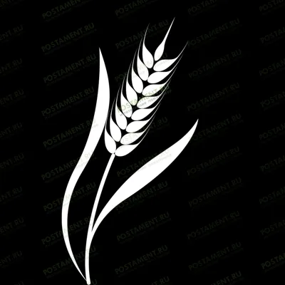 Колос с зерном для оформления памятника 95011