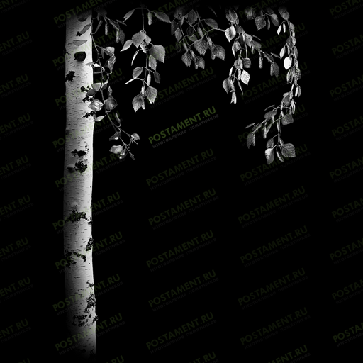 березка для оформления памятника