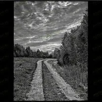 Дорога в лесу 99012