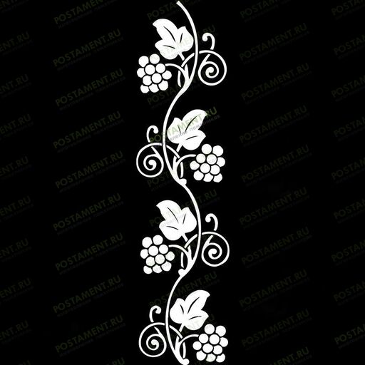 Рисунок винограда для оформления надгробного памятника