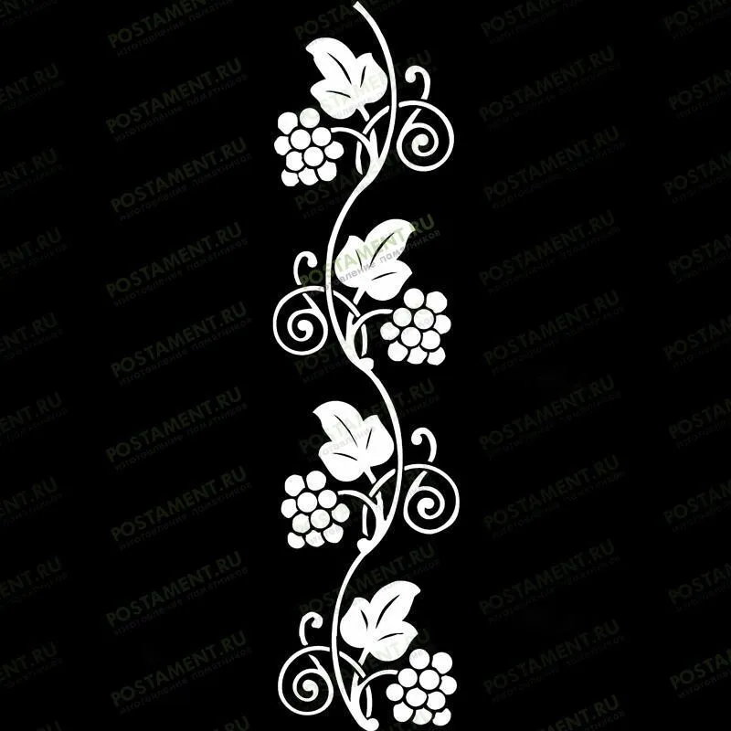 Рисунок винограда для оформления надгробного памятника