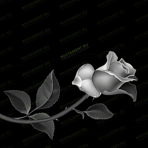 Рисунок розы на памятник из гранита 91002