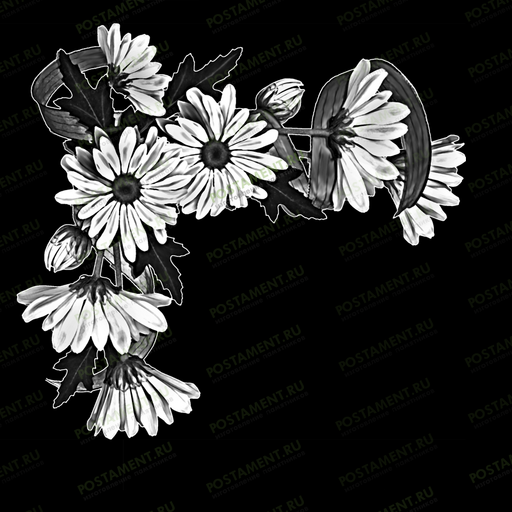ромашки для гравировки на памятник