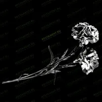 Гвоздики 91024