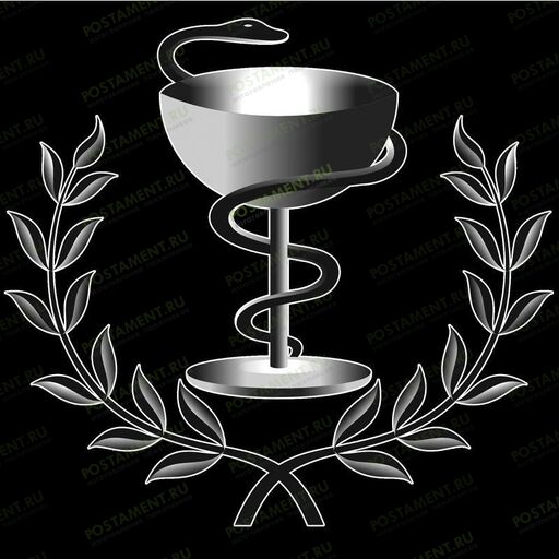 Чаша со змеей на памятник