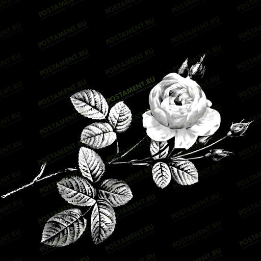 Гравировка розы на натуральном граните 91008