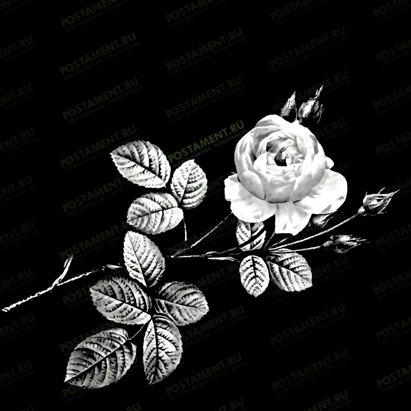 Гравировка розы на натуральном граните 91008